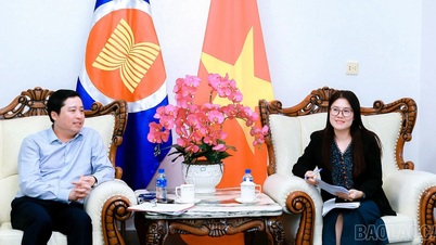 Sekretaris Partai Provinsi Duong Quoc Huy mengunjungi dan bekerja sama dengan Konsulat Jenderal Vietnam di Kunming, Yunnan (China).