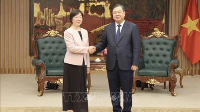 Il vice primo ministro Pham Gia Tuc: il Vietnam promuove la cooperazione negli investimenti infrastrutturali.