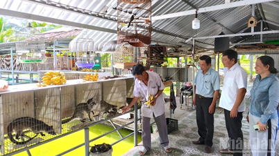 Ca Mau mempercepatkan pengurangan kemiskinan yang mampan.