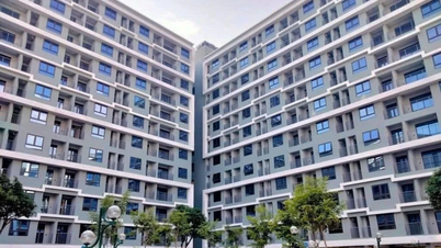 Da Nang: I prezzi dei terreni sono aumentati ben oltre l'effettiva domanda di alloggi, raggiungendo oltre 340 milioni di VND/m².