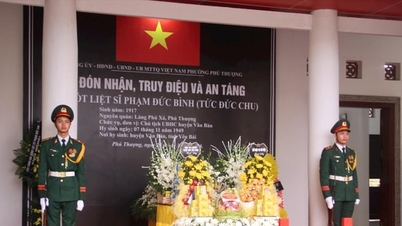 Chạy đua với thời gian trong “Chiến dịch 500 ngày đêm” tìm kiếm, xác định danh tính hài cốt liệt sĩ