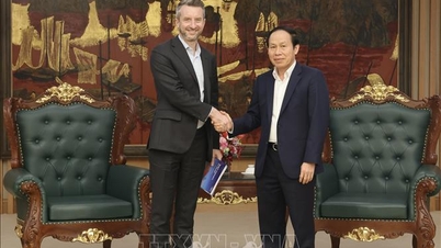 Il Vietnam crea sempre condizioni favorevoli per le istituzioni educative internazionali di prestigio.