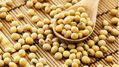 Khi nào người bệnh tuyến giáp cần thay đổi chế độ ăn?
