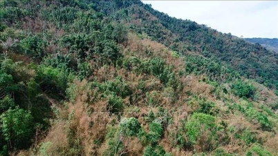 Nella provincia di Thanh Hoa è stato emesso un avviso di alto rischio di incendi boschivi.
