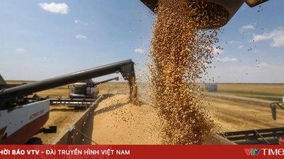 Le risque d'une crise alimentaire mondiale.