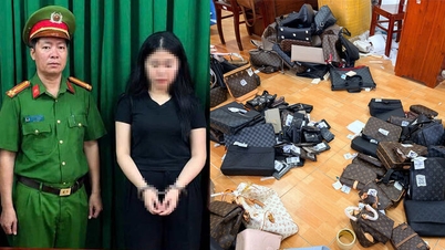 Triệt phá công ty kinh doanh hàng giả quy mô lớn tại đặc khu Phú Quốc