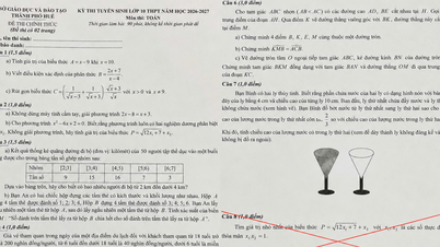 Soal ujian Matematika kelas 10 di Hue yang beredar online, yang terdiri dari 8 pertanyaan dengan total 11 poin, adalah palsu.