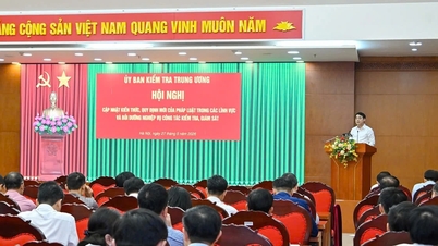 Vietnamin valtionpankki osallistui verkkokonferenssiin päivittääkseen oikeudellista tietämystään ja tarjotakseen ammatillista koulutusta tarkastus- ja valvontatyöhön.