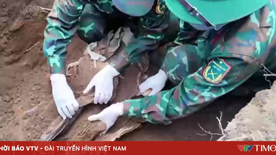 Lao Cai is urgently searching for and collecting the remains of fallen soldiers.