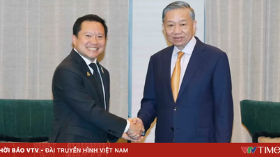 General Secretary and President To Lam receives the Chairman and CEO of TCC Group of Thailand.