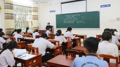 ইংরেজি ও গণিত পরীক্ষাগুলো শিক্ষার্থীদের সক্ষমতার পার্থক্য নিরূপণ করার জন্য তৈরি করা হয়েছে, যা তাদের জ্ঞান এবং প্রয়োগিক দক্ষতা মূল্যায়ন নিশ্চিত করে।