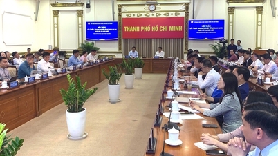 Het bedrijfsleven van Ho Chi Minh-stad draagt ​​ideeën aan voor het wetsontwerp betreffende speciale stedelijke gebieden.