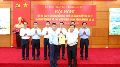 Lao Cai se angajează în dialog și rezolvă dificultățile investitorilor industriali și minieri.