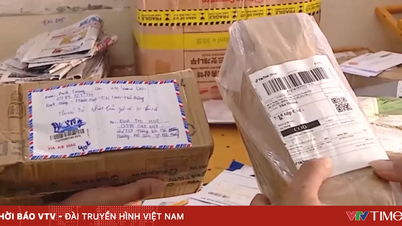 Contraband disguised in express delivery packages.