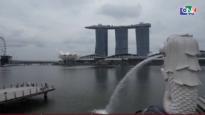 Singapur podporuje aplikaci umělé inteligence v malých a středních podnicích.