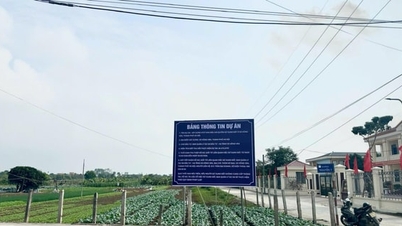 ໂຄງການສ້າງພື້ນທີ່ປະມູນສິດການນຳໃຊ້ທີ່ດິນໃນບ້ານຮ່ອງວັນ:
