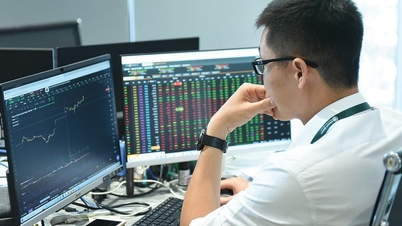 Bank stocks supported the VN-Index, but the decline in Vingroup stocks still outweighed it.