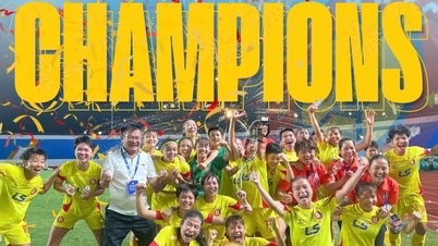 Ho-Chi-Minh-Stadt gewinnt zum fünften Mal den nationalen Frauenpokal.