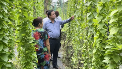 Kamerad Le Minh Hoan bertemu dan berbagi informasi dengan para petani di lingkungan My Tho.