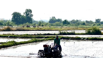 Una corretta gestione delle risorse idriche garantisce la produzione agricola durante l'estate e l'autunno.
