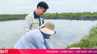 តើ​អ្នកជំនាញ​មាន​អនុសាសន៍​អ្វីខ្លះ​បន្ទាប់ពី​ការត្រួតពិនិត្យ​តំបន់​ចិញ្ចឹម​បង្គា?