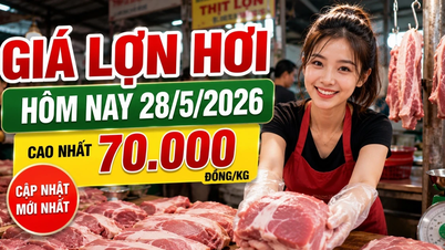 Prezzi della carne di maiale oggi, 28 maggio: in molte località i prezzi sono scesi a 67.000-68.000 VND/kg.