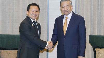 Accogliamo con favore gli investimenti delle principali aziende thailandesi in Vietnam.