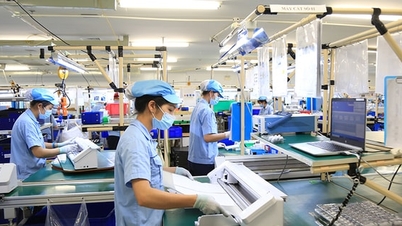 Nền tảng và động lực tăng trưởng mới