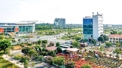 Phát huy tính năng động, thúc đẩy phát triển kinh tế- xã hội