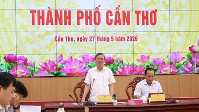 TP. Cần Thơ: Tìm nguồn cát, đá phục vụ Dự án cao tốc Châu Đốc – Cần Thơ – Sóc Trăng