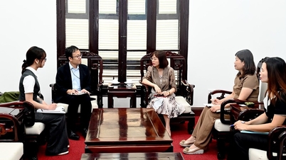 Vietnam - Giappone: Ampliare la portata della cooperazione turistica sulla base della ricchezza culturale.