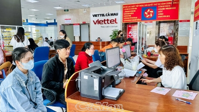 Ca Mau ha compiuto il balzo in avanti più significativo nella classifica dell'indice di trasformazione digitale rispetto alle altre province e città a livello nazionale.