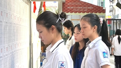 Domande e risposte per l'esame di ammissione alla decima classe di matematica a Lao Cai nel 2026.