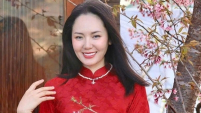 Celebrità vietnamite in abito tradizionale ao dai per celebrare il Tet: chi è la più bella?