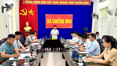 Il Dipartimento per gli Affari Etnici e Religiosi ha condotto un'ispezione per valutare l'attuazione delle normative in materia di questioni etniche, credenze e religione nei comuni di Phiêng Cằm e Chiềng Mai.