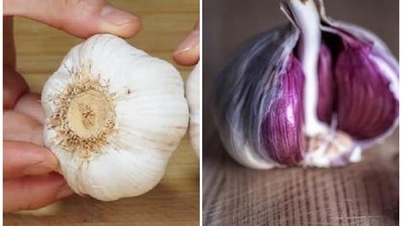 Este usturoiul cu pielea violetă mai bun decât usturoiul cu pielea albă? Usturoi cu pielea violetă, usturoi cu pielea albă