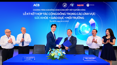 Компания ACB завершает разработку своей стратегии устойчивого развития, формируя новую основу для роста.