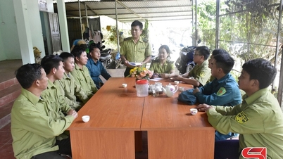 Suoi To Green Forest