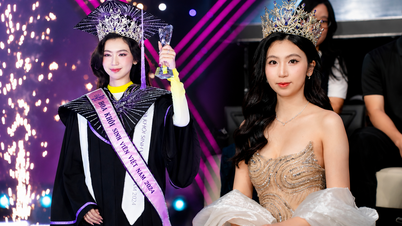 Un anno dopo essere stata incoronata Miss Vietnam Student, cosa fa Quynh Anh adesso?