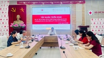 Fornire supporto alle scuole colpite dalle alluvioni nelle città di Hue e Da Nang per aiutarle a riprendersi e a ricostruire.