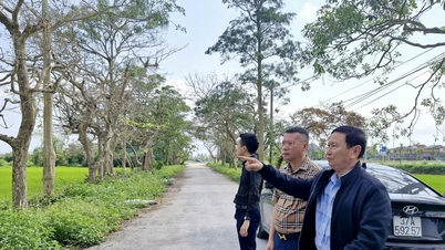 Il progetto del campo da golf Cua Lo Beach a Vinh Phu, fermo da 10 anni, rischia di essere sottoposto a una revisione della sua fattibilità.