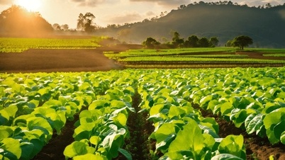 The aspiration for double-digit growth: From international lessons to the need for a new development mindset in Vietnam.