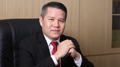Biroul Politic a solicitat orașului Ho Chi Minh să își finalizeze mega-complexul portuar: Can Gio este exemplul principal.