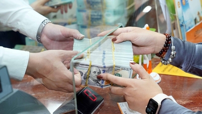 Směnný kurz USD dnes, 28. května 2026: Americký dolar mírně roste, ostatní měny klesají.