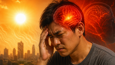 'Brain overheating' in summer: Dangerous signs and prevention methods.