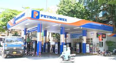 La maggior parte dei modelli di auto in Vietnam è compatibile con la benzina E10.