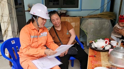 บริษัท ตวนกวาง พาวเวอร์ จำกัด เร่งดำเนินการส่งเสริมการประหยัดพลังงานไฟฟ้าและแก้ไขปัญหาค่าไฟฟ้าสูงในช่วงฤดูร้อน