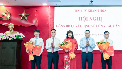 Khanh Hoa: Funcționarii sunt realocați pentru a îmbunătăți capacitățile de management de la nivel provincial la nivel local.