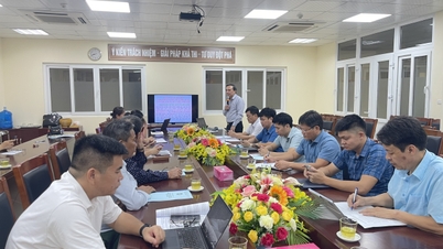 Bac Ninh تعاون پر مبنی ترقی میں اٹلی کے تجربے سے سیکھتا ہے۔