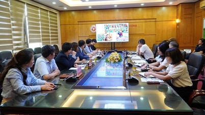 Dongduk Women's University and Vinako Education & Consulting Co., Ltd. visited and worked with Hung Vuong University.